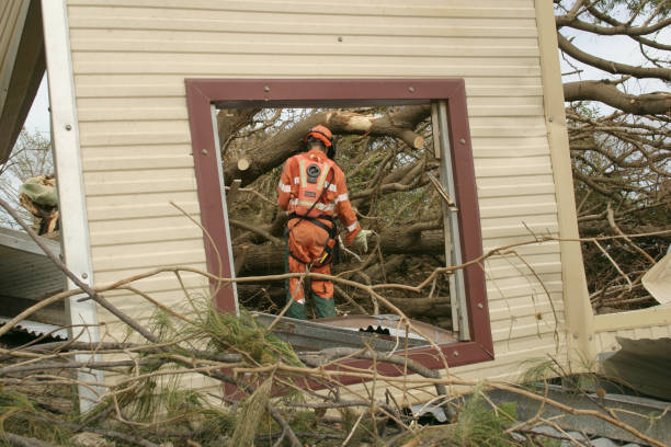 Best Emergency Tree Removal  in Van Buren, AR